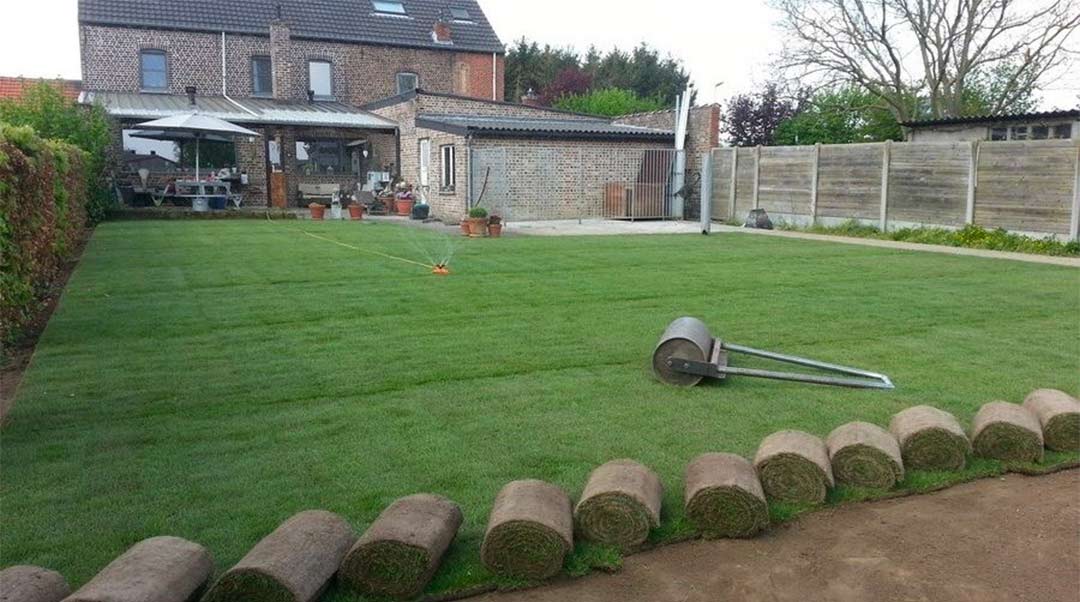 Pose de gazon en rouleau à Liège Parc Jardin Forêt