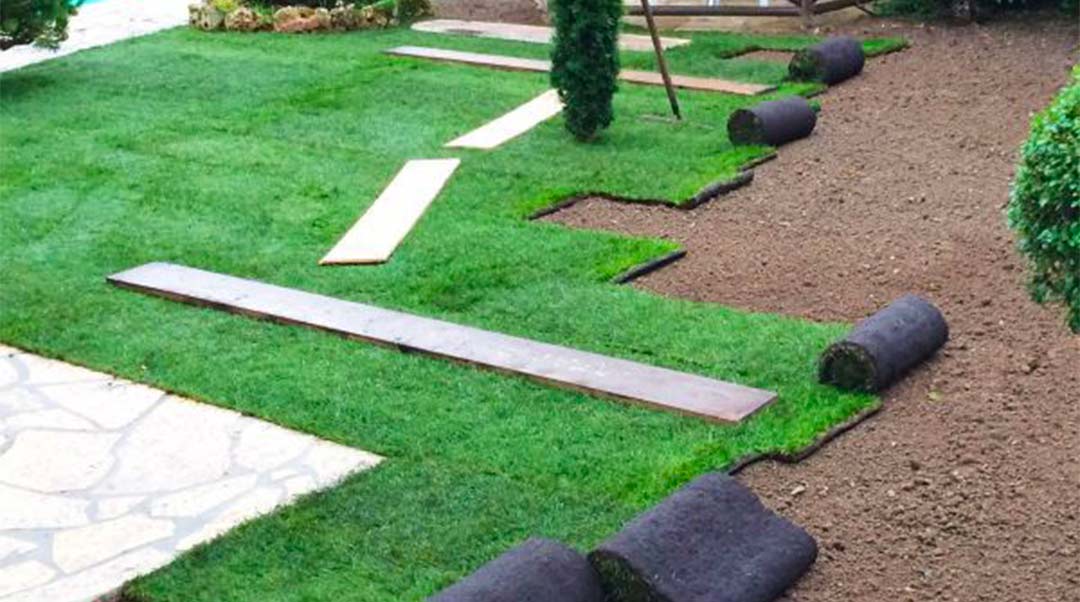 Pose de gazon en rouleau à Liège Parc Jardin Forêt