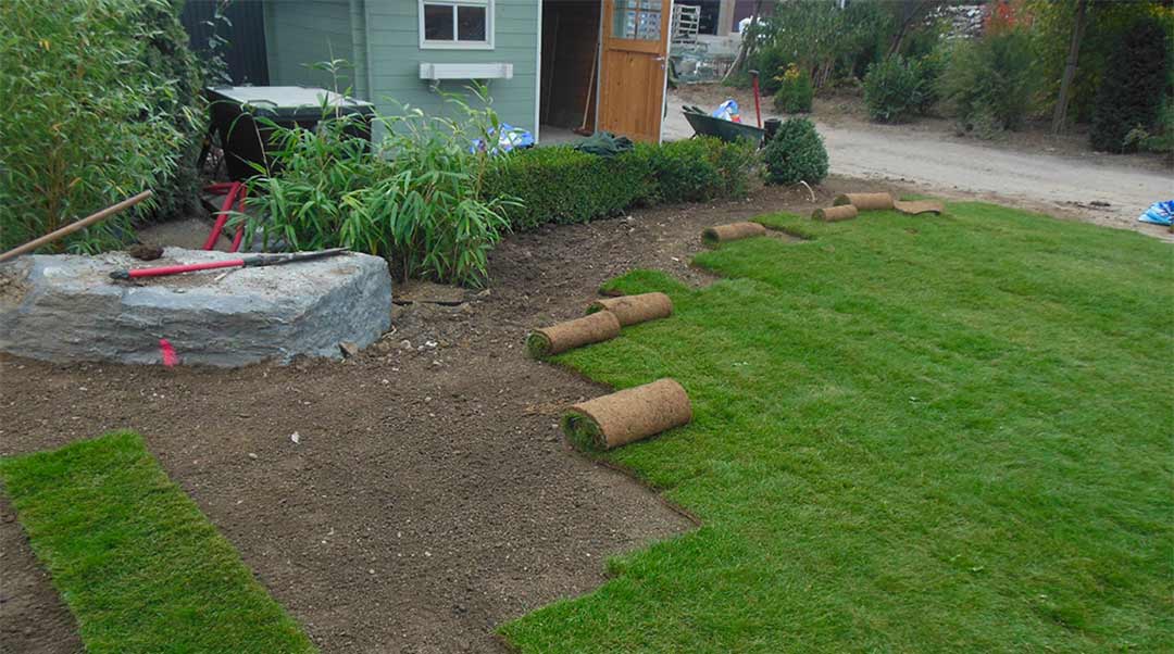 Pose de gazon en rouleau à Liège Parc Jardin Forêt